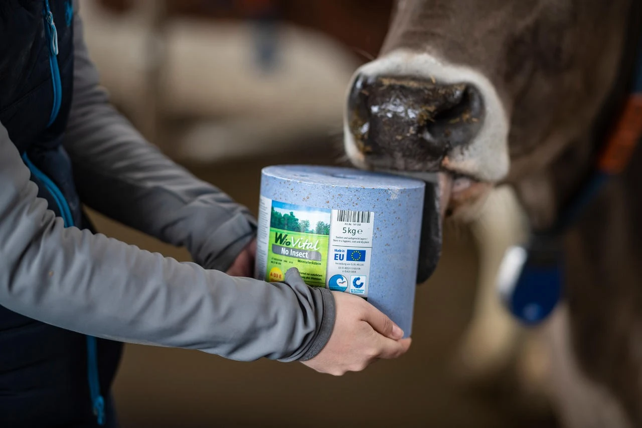 WAHL-Hausmarke WioVital No Insect Leckstein SET 4×5 Kg – Bild 2