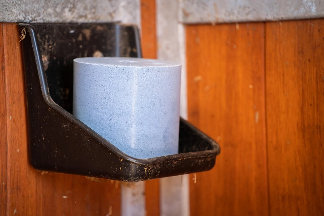 WAHL-Hausmarke WioVital No Insect Leckstein SET 4×5 Kg – Bild 3