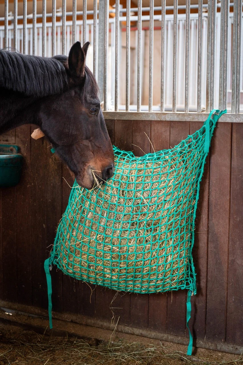 WAHL-Hausmarke Heunetztasche 4,5×4,5 Cm Maschenweite – Bild 5