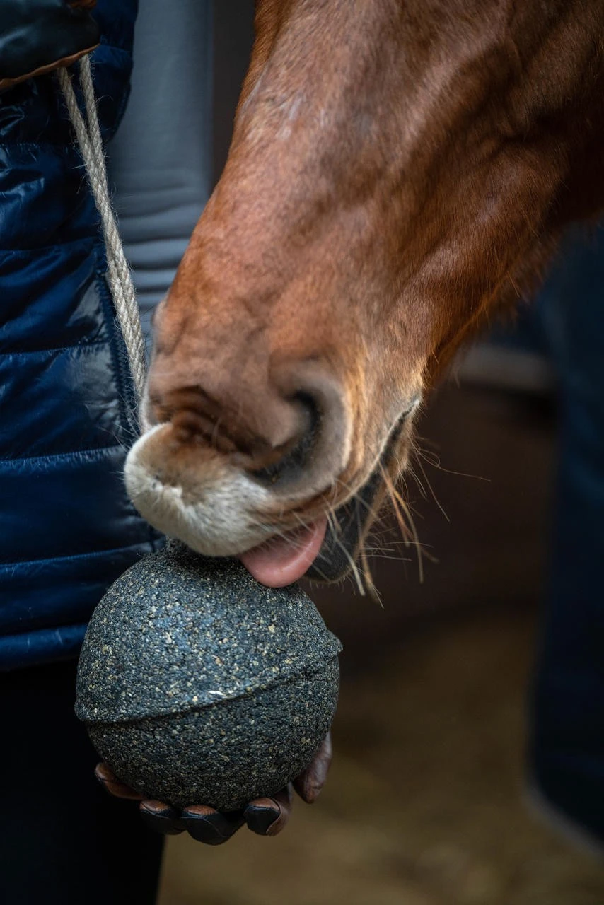 Unika Balls Gastro – Bild 4