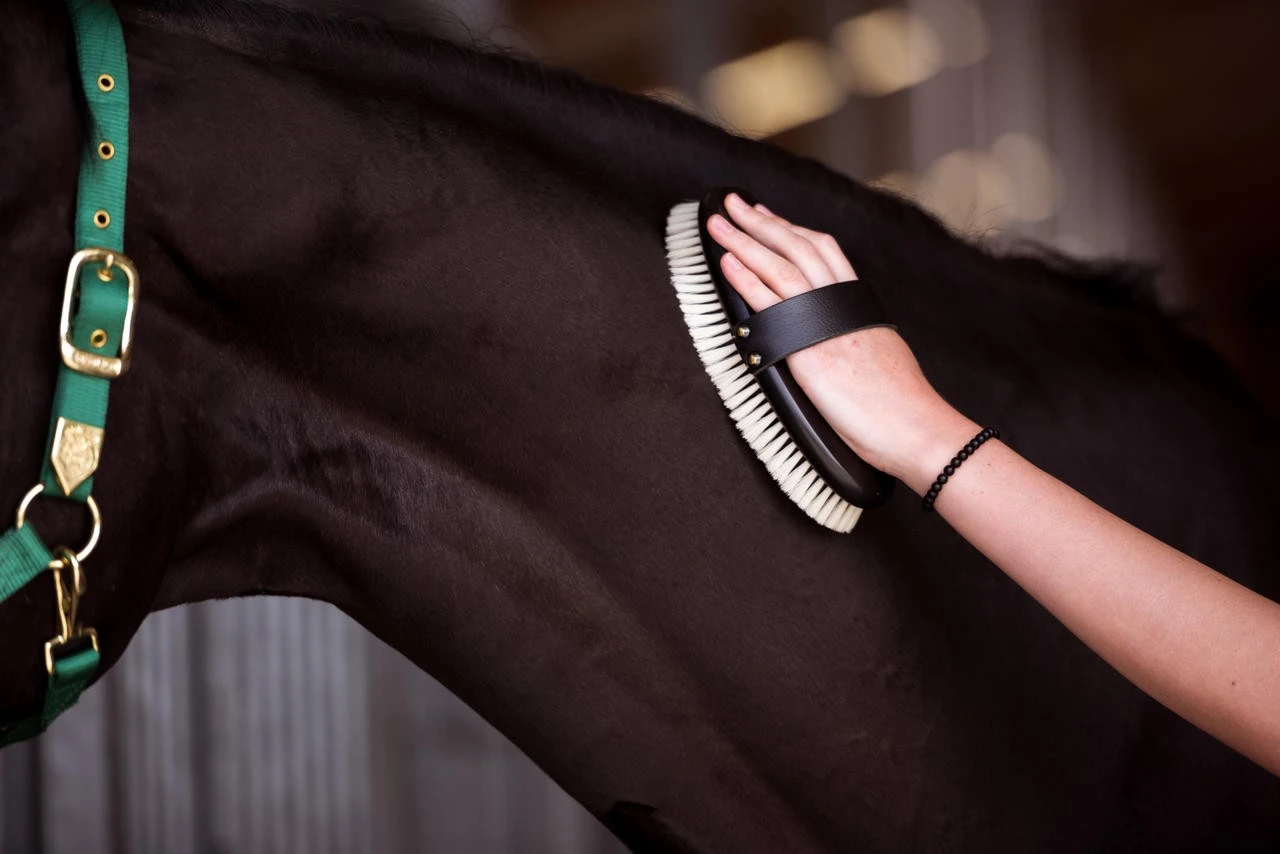 Leistner Hochglanzbürste 214x96 Mm - 22mm Borsten – Bild 5