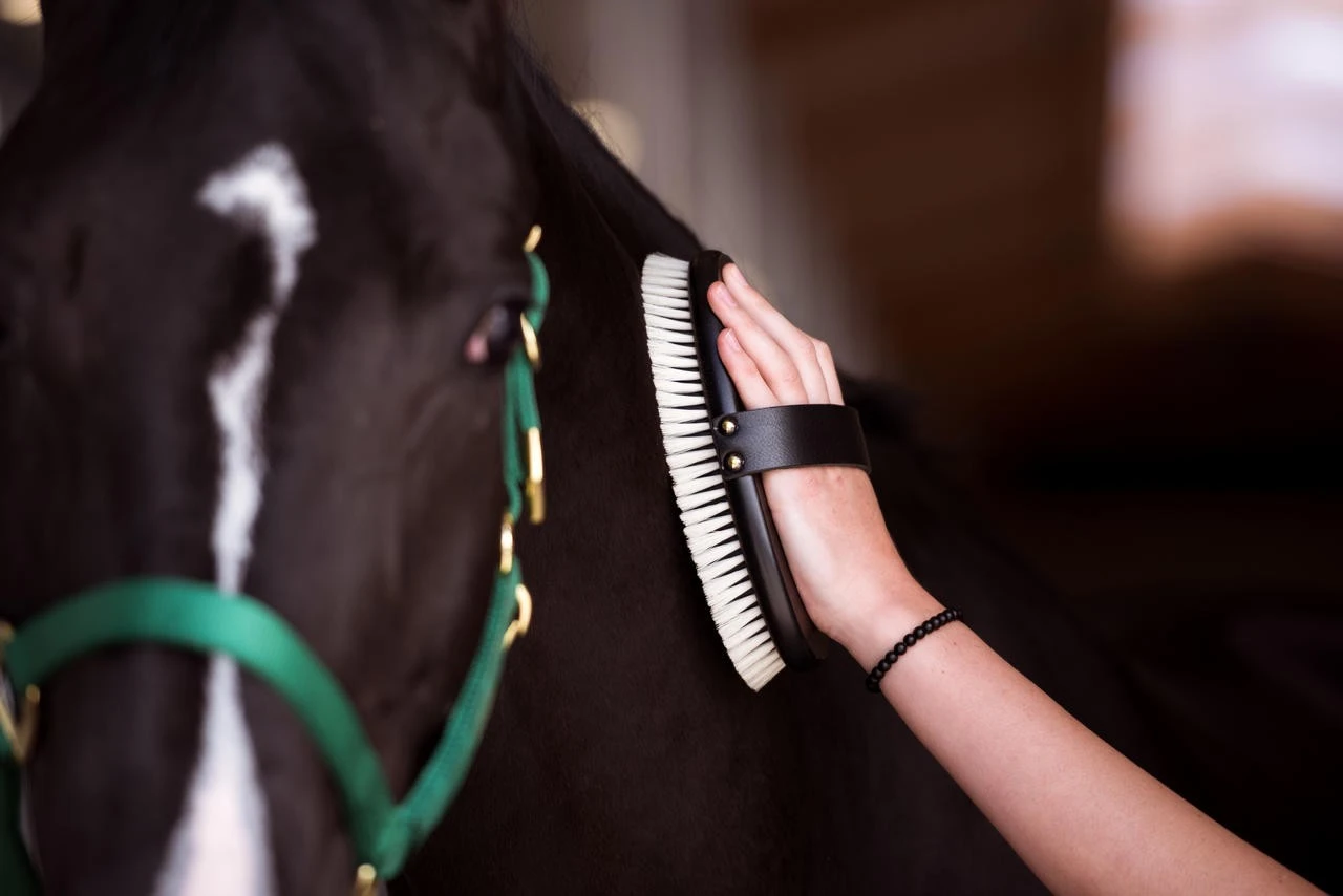 Leistner Hochglanzbürste 214x96 Mm - 22mm Borsten – Bild 2