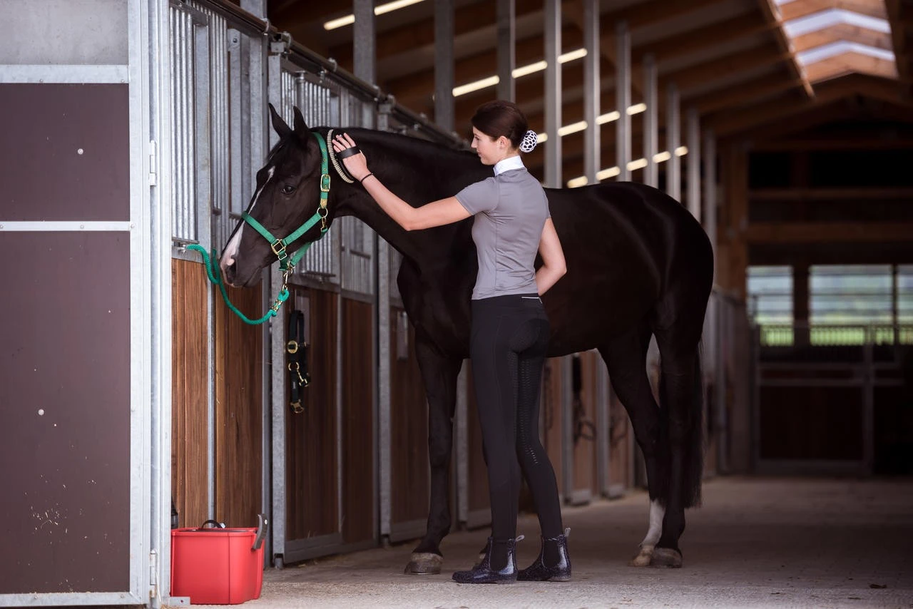 Leistner Hochglanzbürste 214x96 Mm - 22mm Borsten – Bild 3