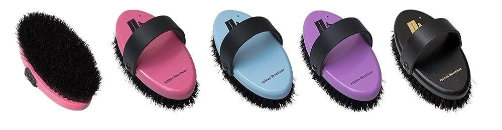 Leistner Pferdekopfkardätsche 135x77 Mm Lackiert