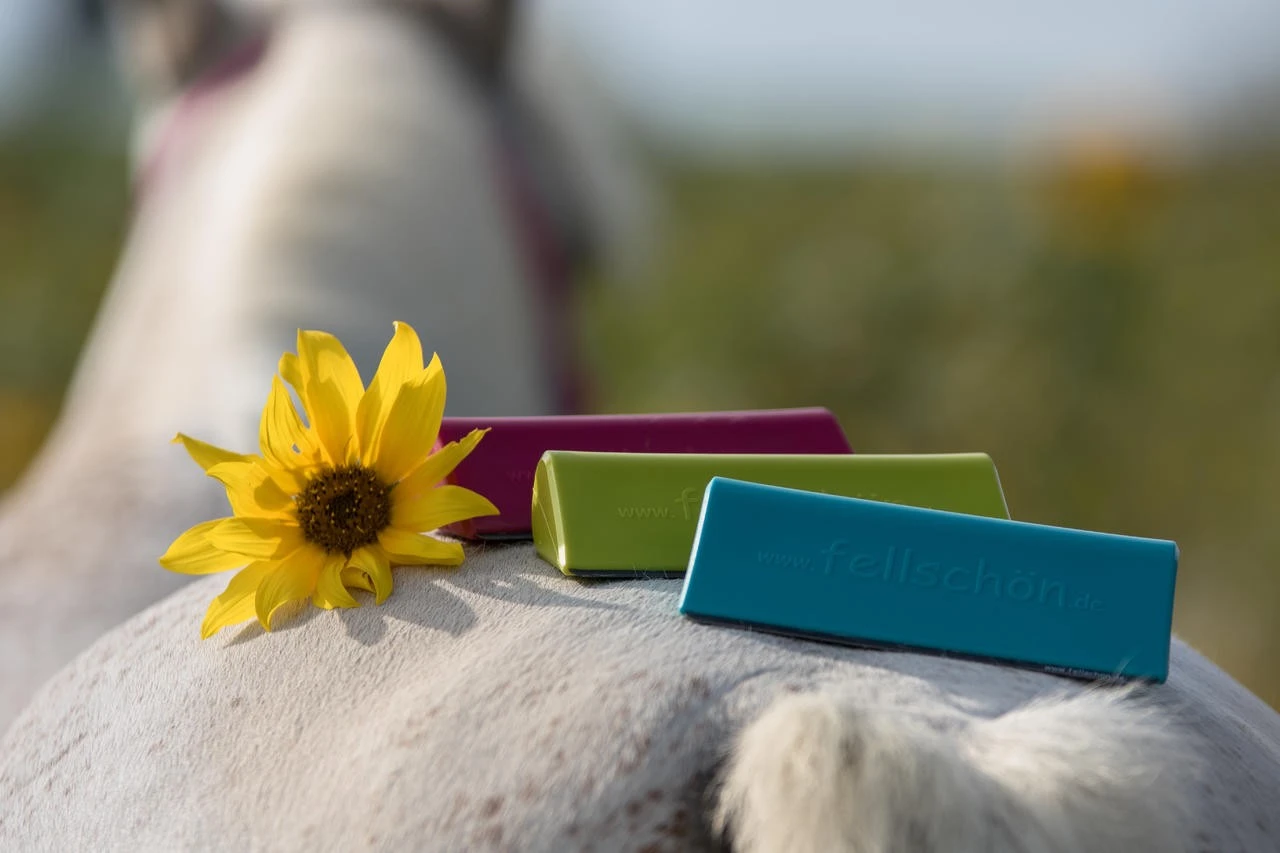 Fellschön Bürste Kunststoff - Image 3