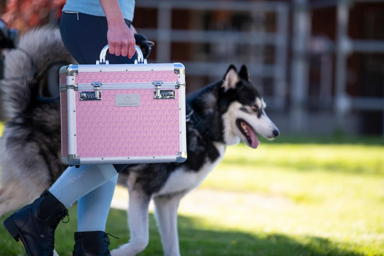 Putzbox IRH Shiny – Bild 4