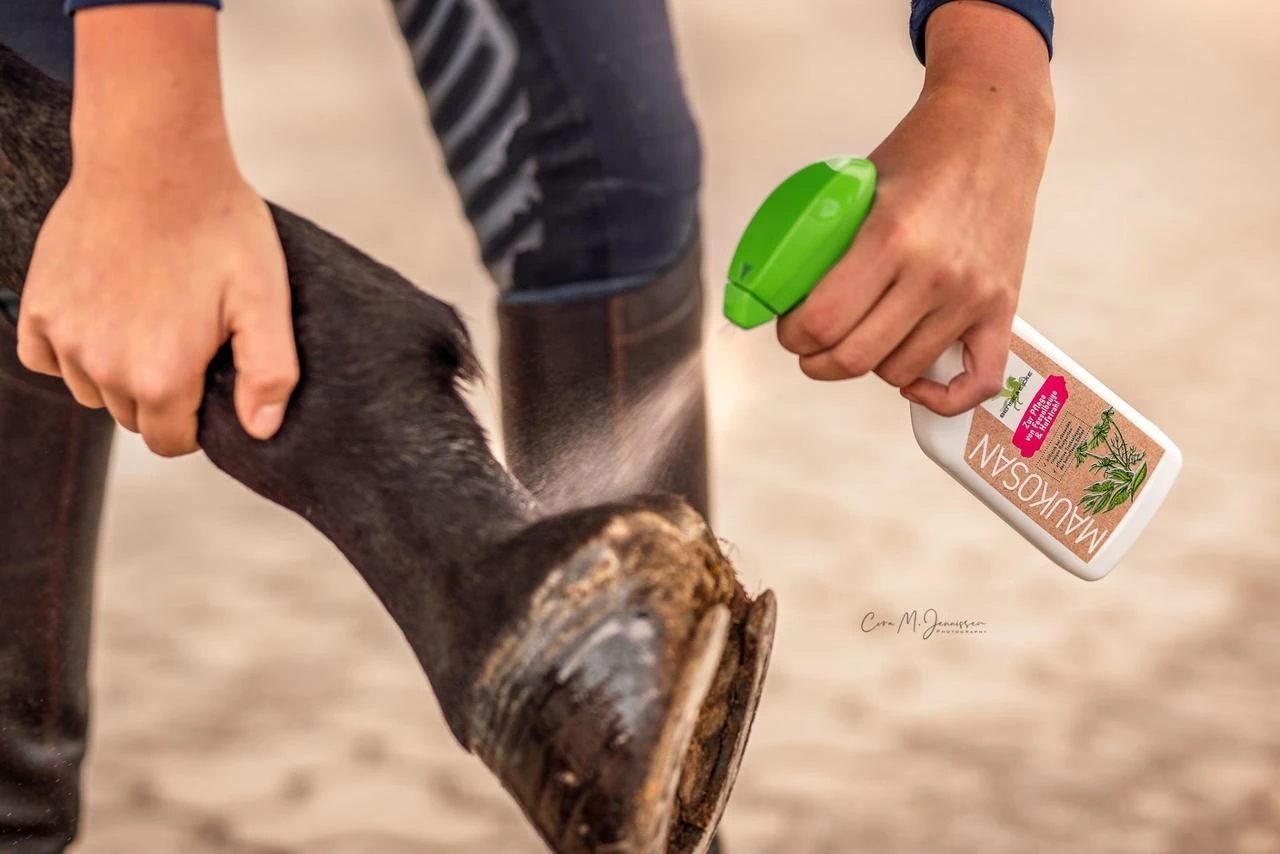 Bense & Eicke Maukosan - Image 2