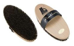 Leistner Kardätsche Anthony 214x96 Mm