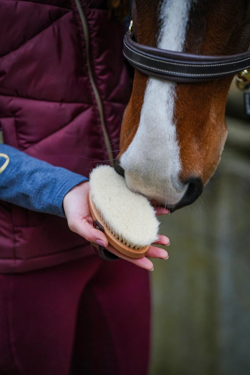 Leistner Pferdekopfkardätsche Kroko- U. Elchleder – Bild 4