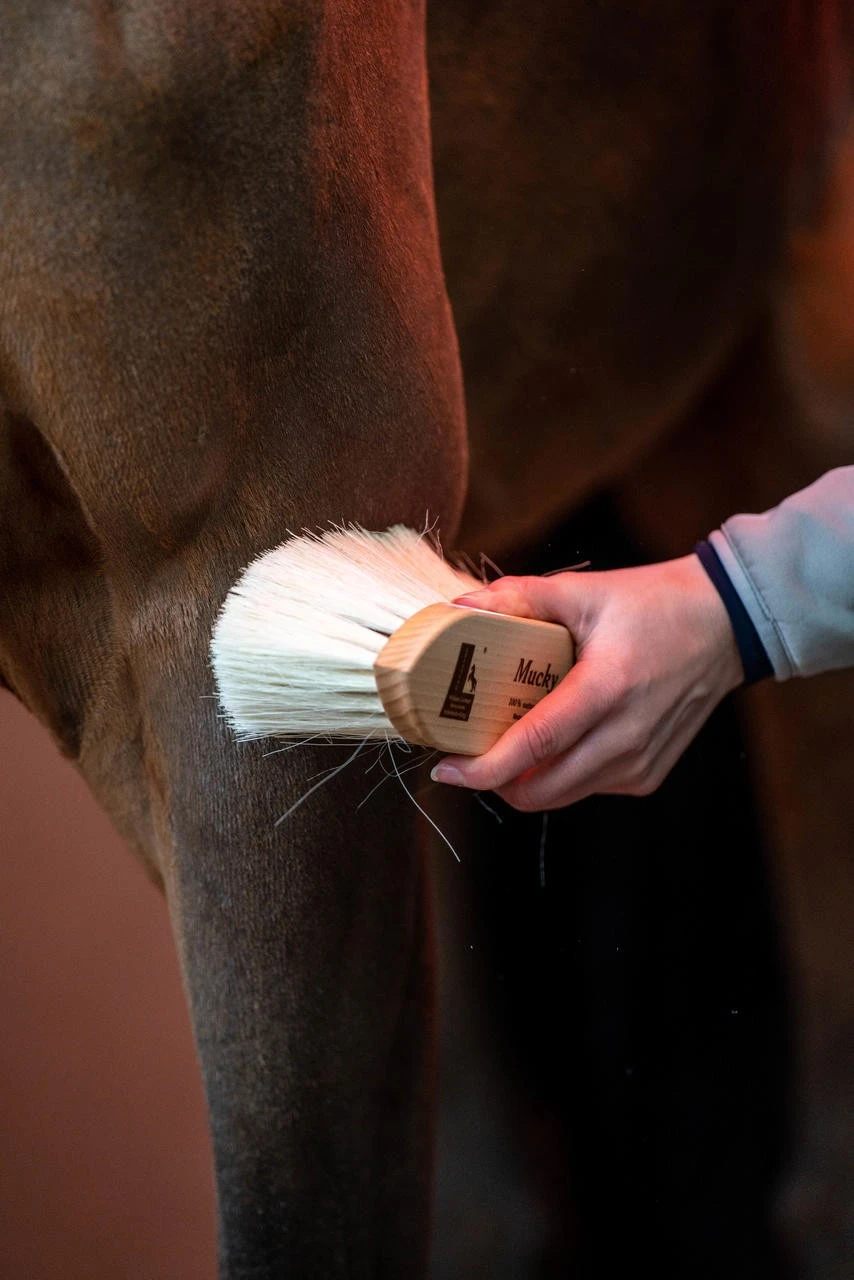 Leistner Fellbürste Mucky 200x59 Mm – Bild 2