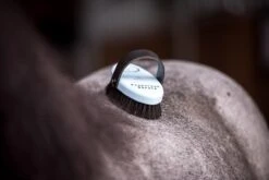 Leistner Feenstaubbürste - Kinderkardätsche