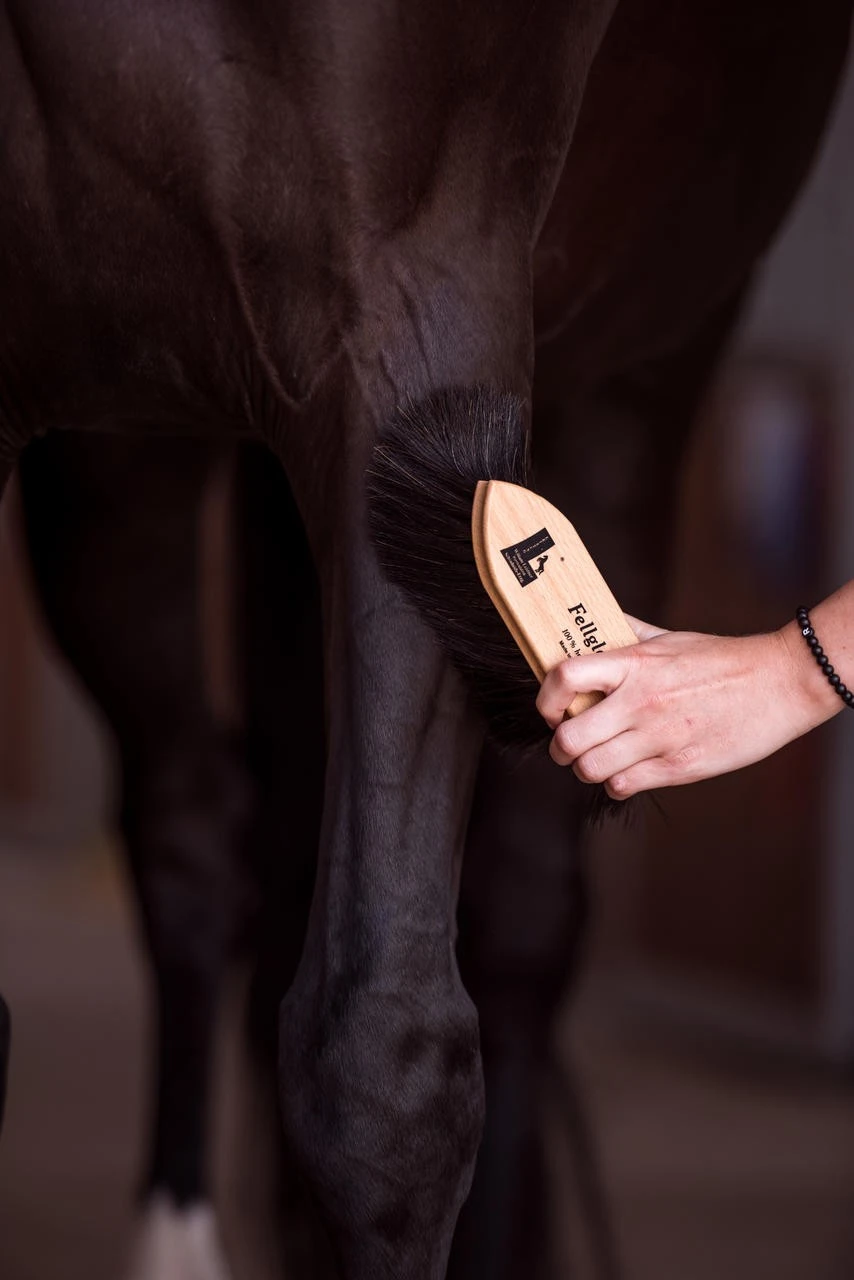 Leistner Mähnenbürste Fellglanz 176x56 Mm – Bild 3