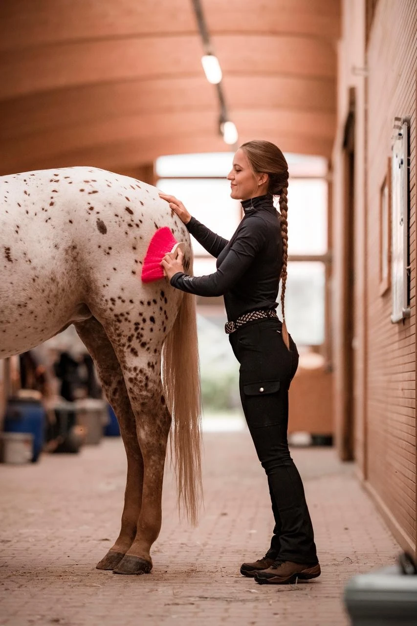 Leistner Superbrush 200x59mm - 100mm Borstenlänge - Image 2