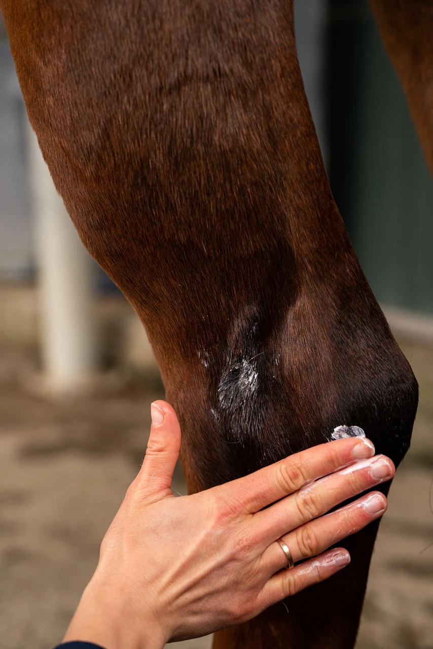 Carr & Day & Martin Wundcreme "Wound Cream" - 180g - Image 3