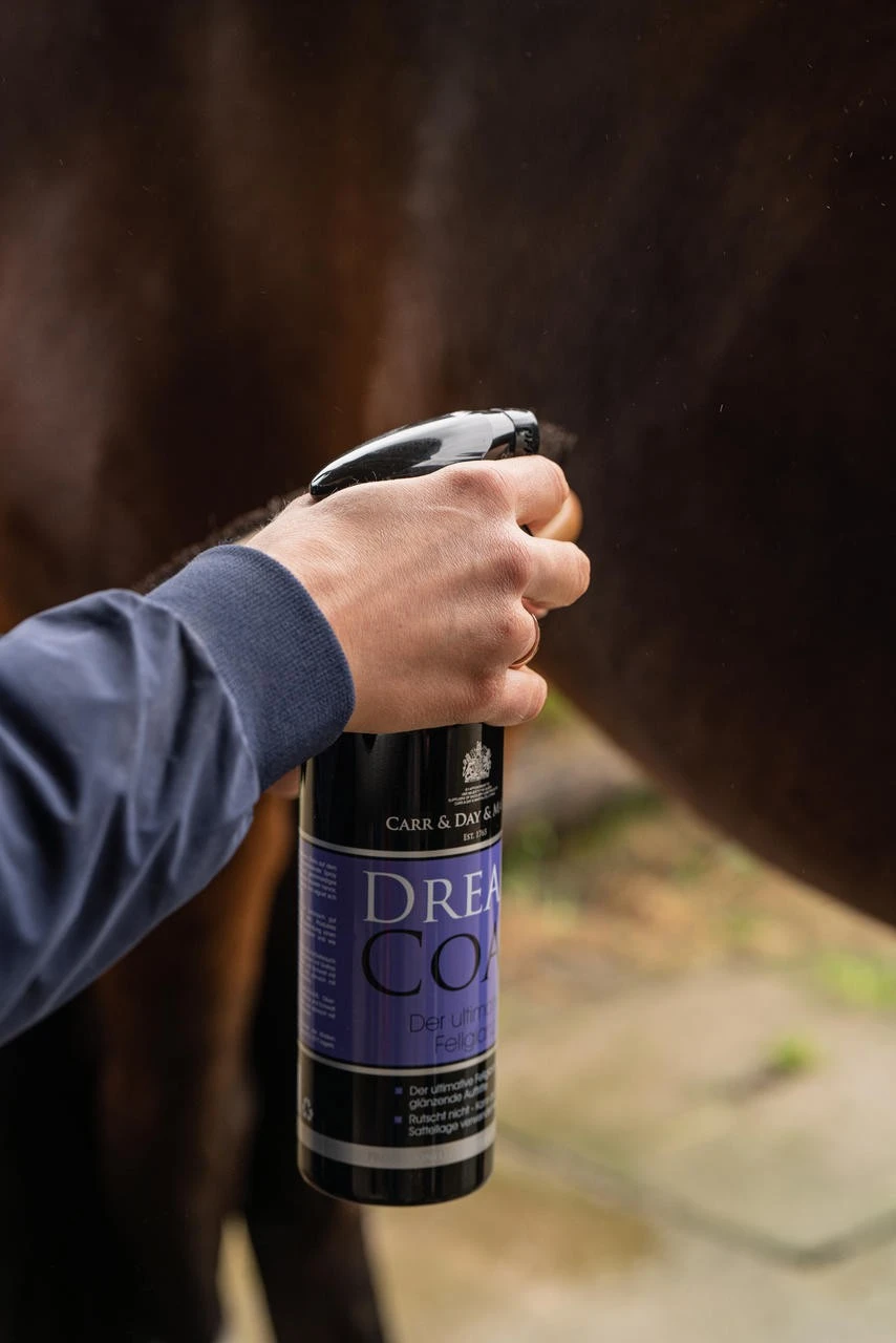 Carr & Day & Martin Dreamcoat Glanzspray 500ml – Bild 3