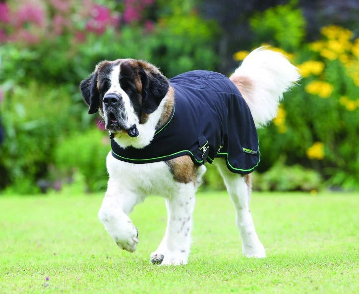 Horseware Sportz-Vibe Massage Therapy For Dogs