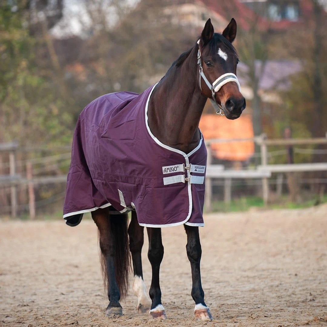 Horseware Amigo Hero 600D Ripstop 50 G Füllung – Bild 5