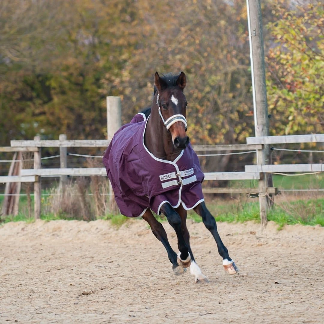 Horseware Amigo Hero 600D Ripstop 50 G Füllung – Bild 4