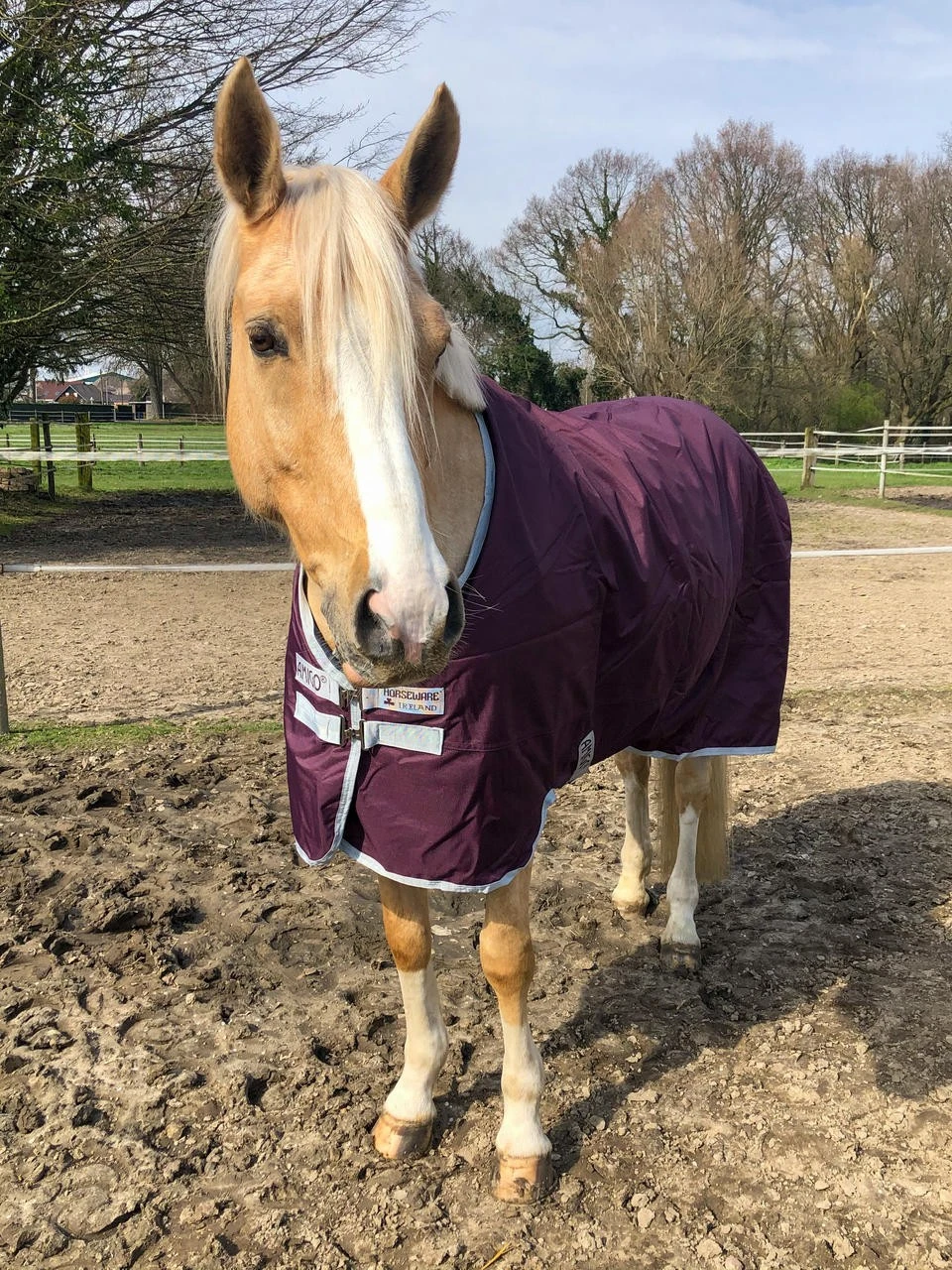 Horseware Amigo Hero 600D Ripstop 50 G Füllung – Bild 7