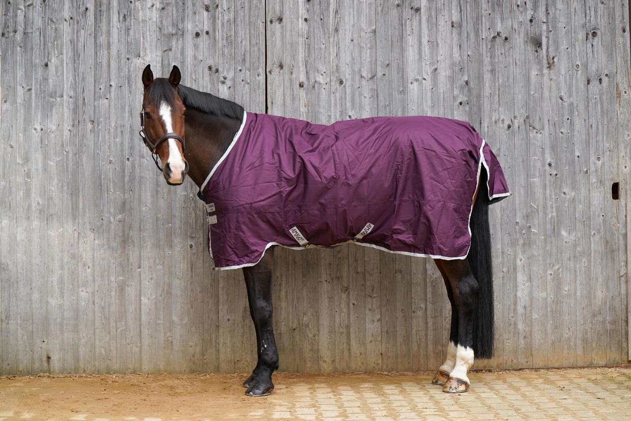 Horseware Amigo Hero 600D Ripstop 50 G Füllung – Bild 8