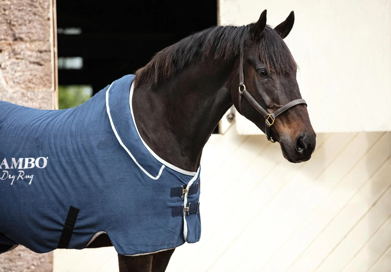 Horseware Rambo Dry Rug – Bild 2