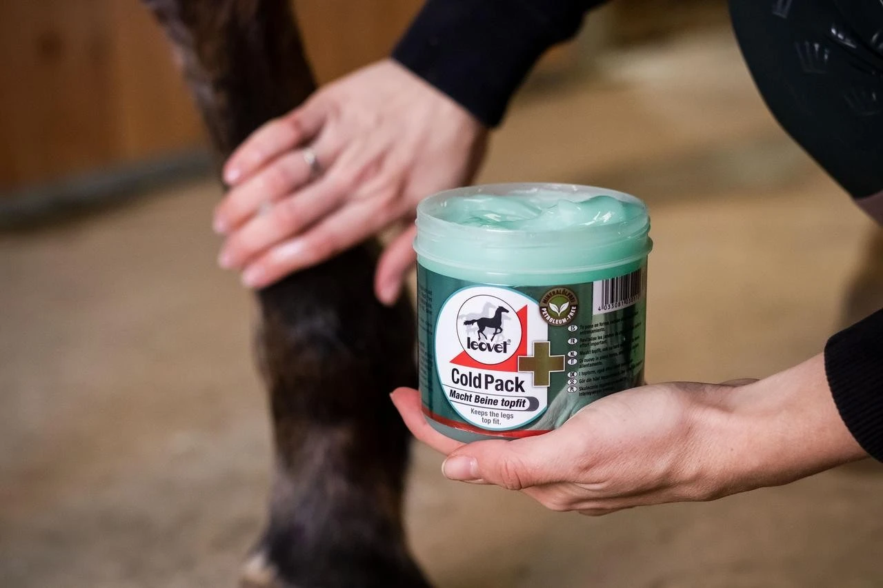 Leovet Leovet Cold Pack 500ml – Bild 2