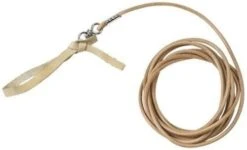 Lederschlag Für Longierpeitsche