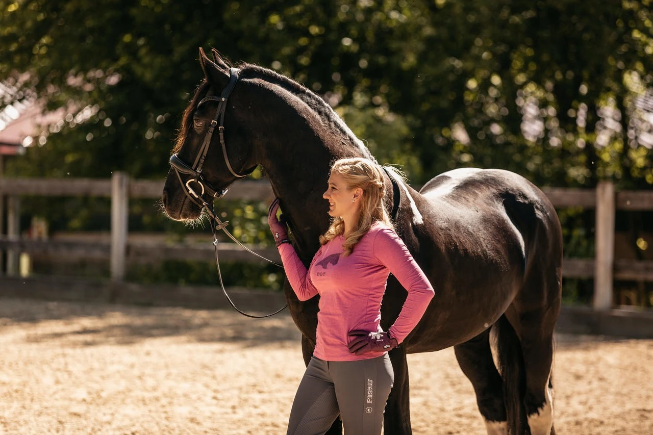 Waldhausen X-Line Trensenzaum Concept - Image 5