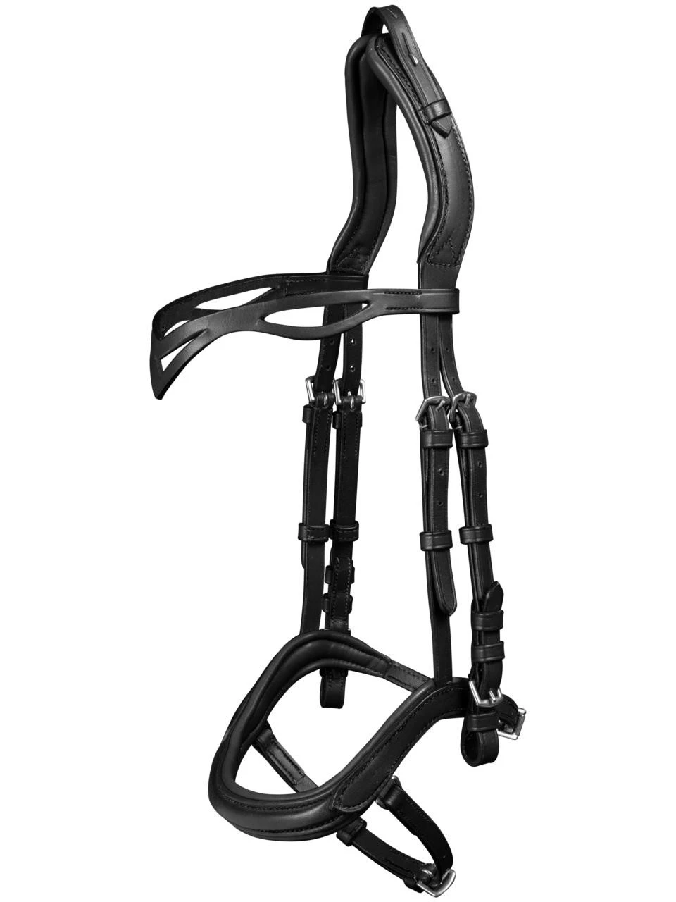 Waldhausen Island Trense Anatomic