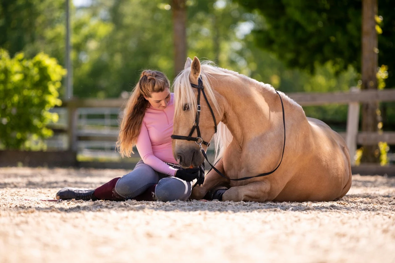 F.R.A. Gebissloser Zaum Pardoes – Bild 7