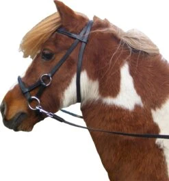 F.R.A. Gebissloser Zaum Pardoes