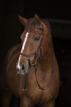 Horseware Rambo Micklem Original Competition