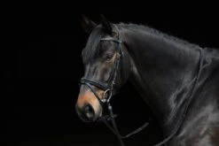 Döbert Trensenzaum Stallmeister Bella - Schwarz