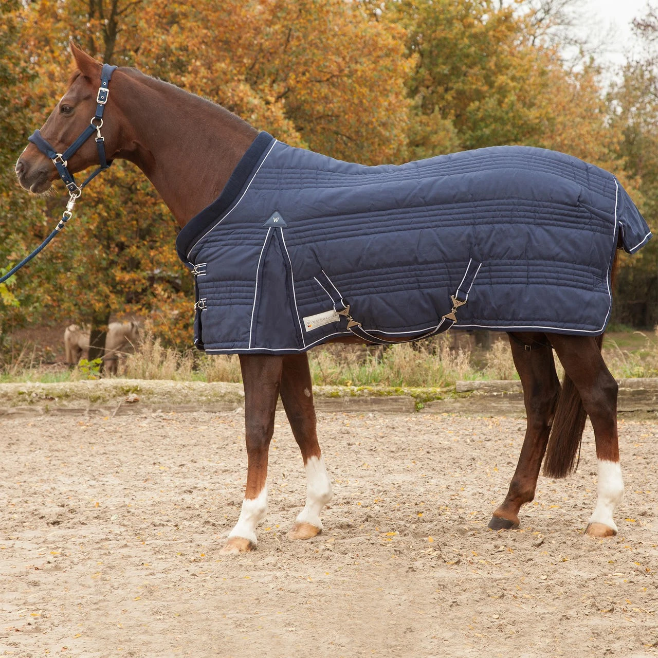 Waldhausen Stalldecke Comfort Line, 100 G