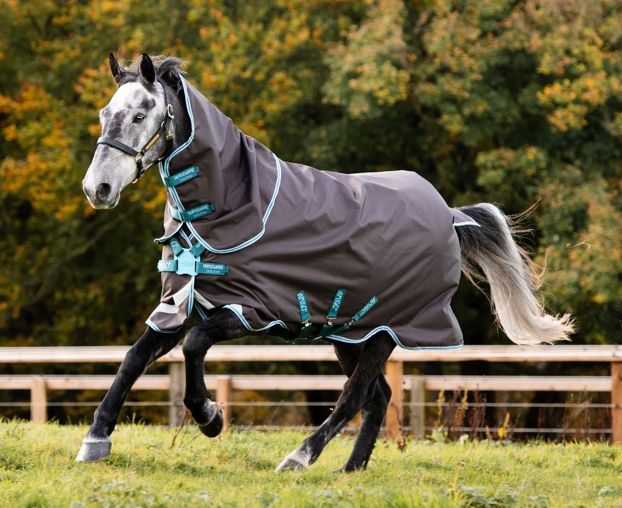 Horseware Amigo Bravo 12 Plus Turnout Medium 250g