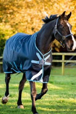 Horseware Amigo Bravo12 100g Turnout