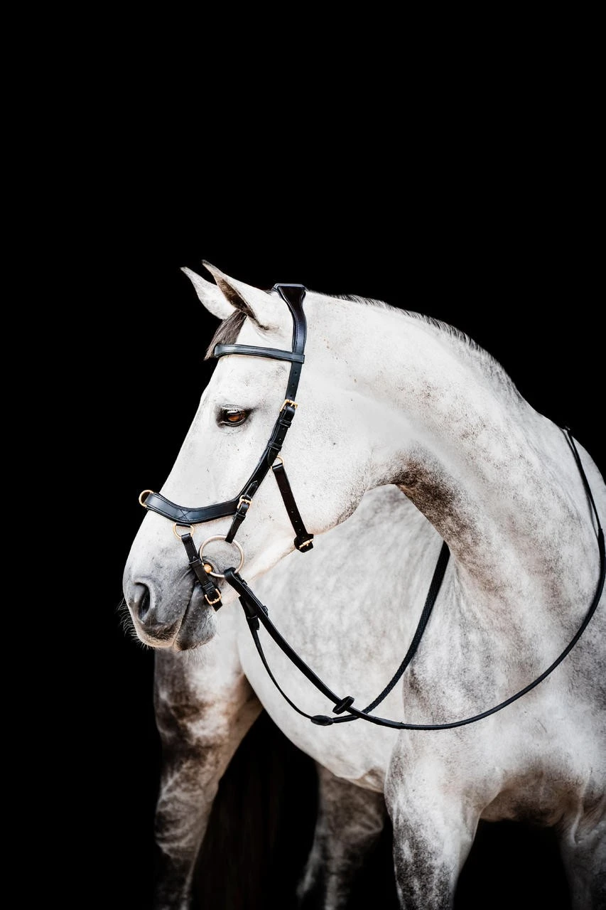 Horseware Micklem 2 Multi Bridle – Bild 2