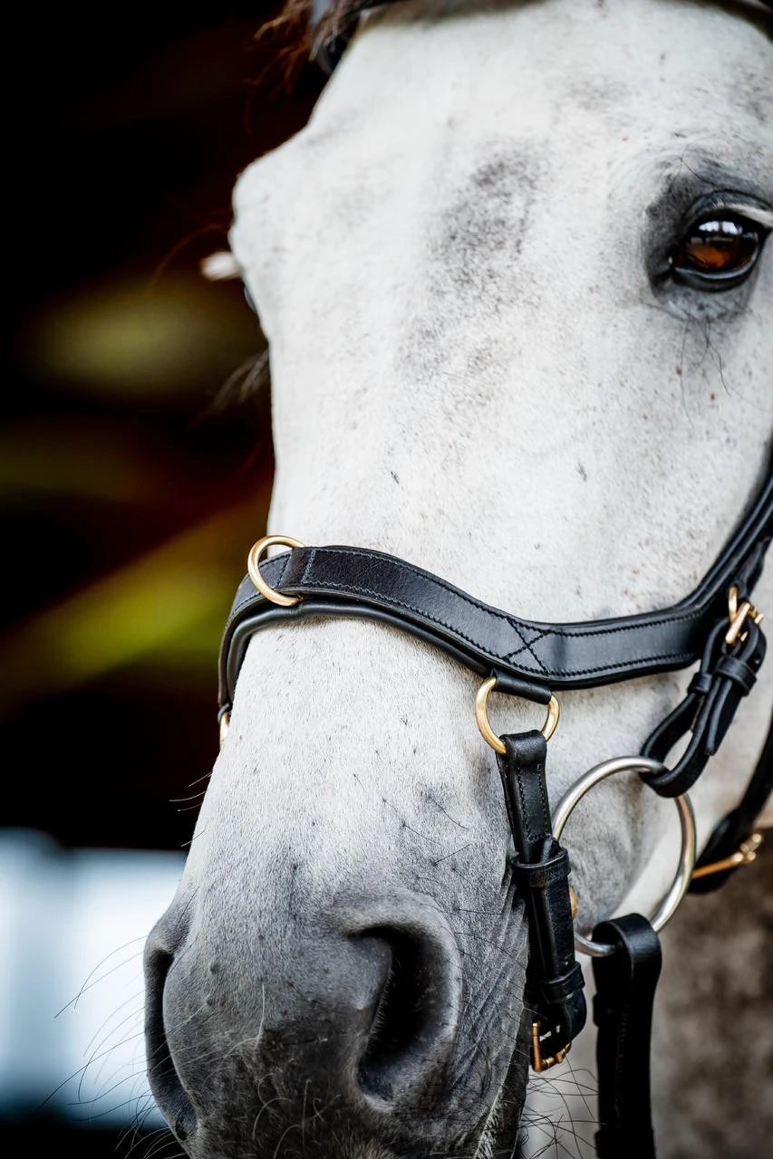 Horseware Micklem 2 Multi Bridle – Bild 3