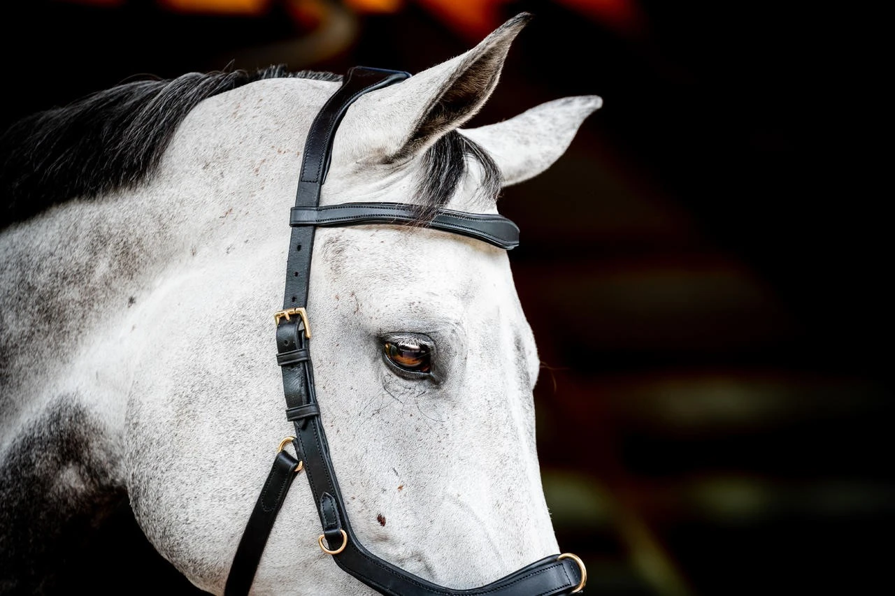 Horseware Micklem 2 Multi Bridle – Bild 9