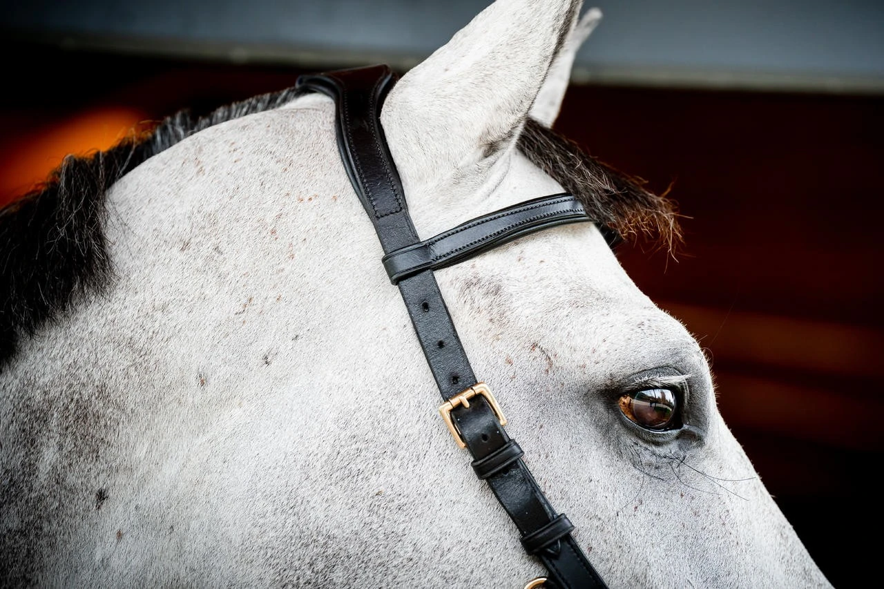 Horseware Micklem 2 Multi Bridle – Bild 6