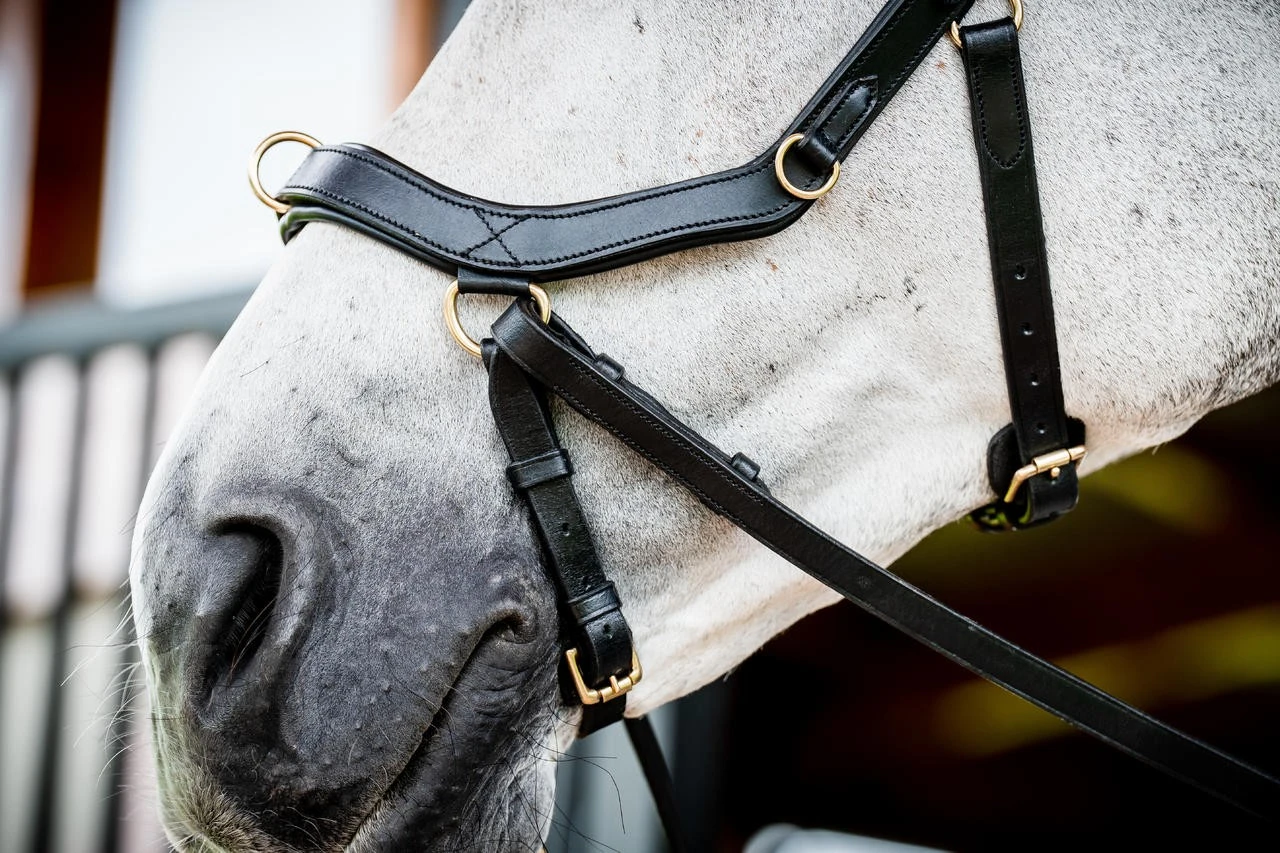 Horseware Micklem 2 Multi Bridle – Bild 8