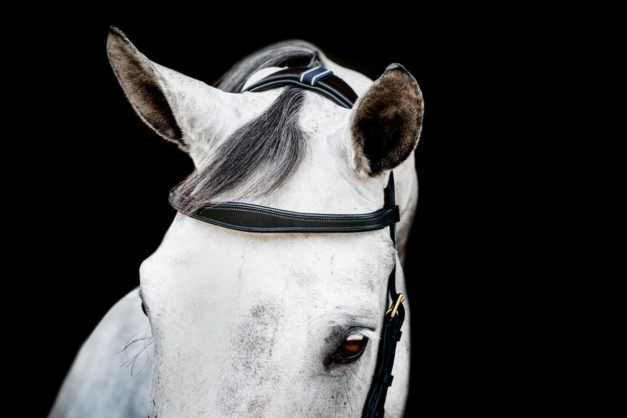 Horseware Micklem 2 Multi Bridle – Bild 7