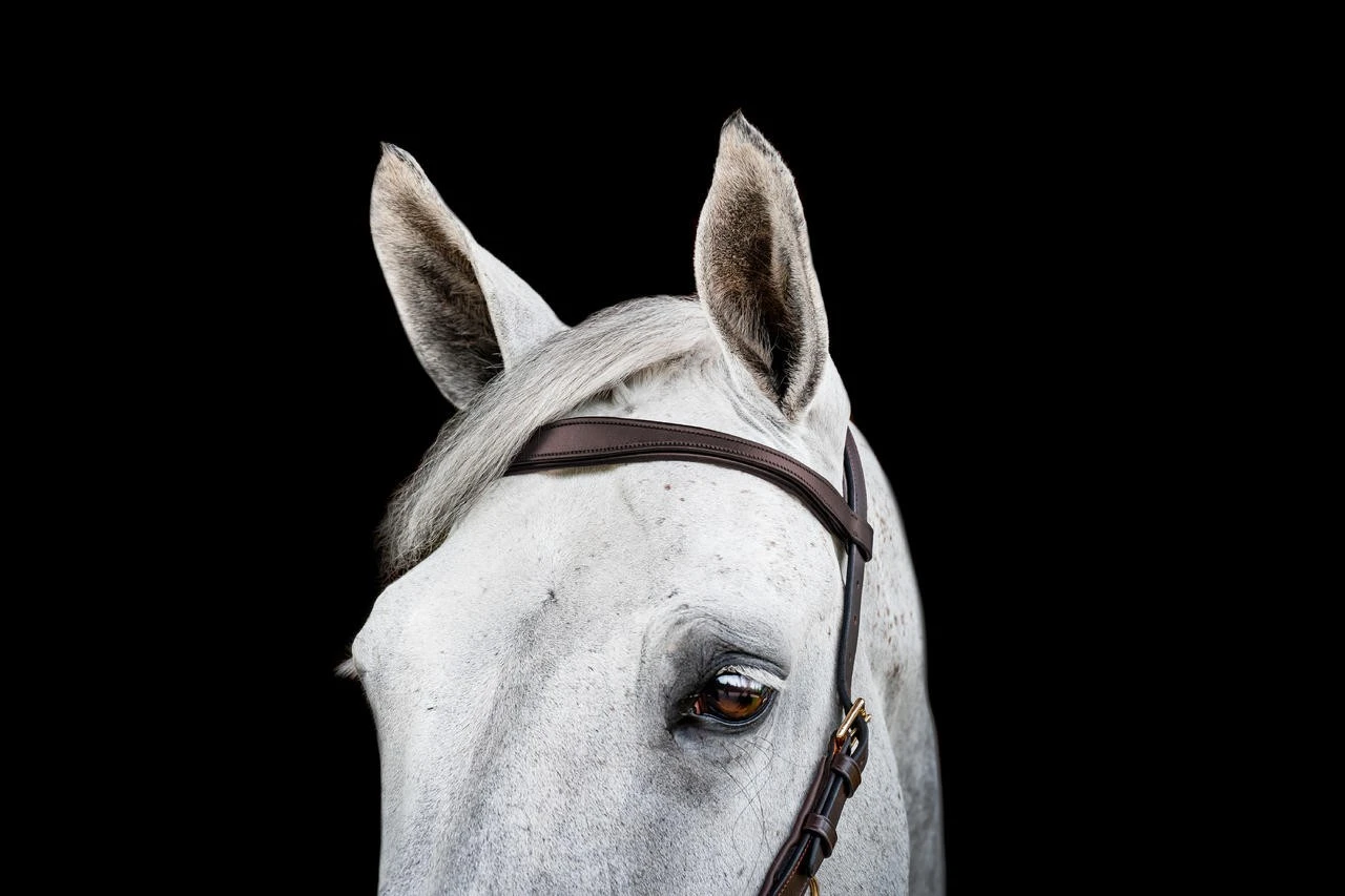 Horseware Micklem 2 Multi Bridle – Bild 15