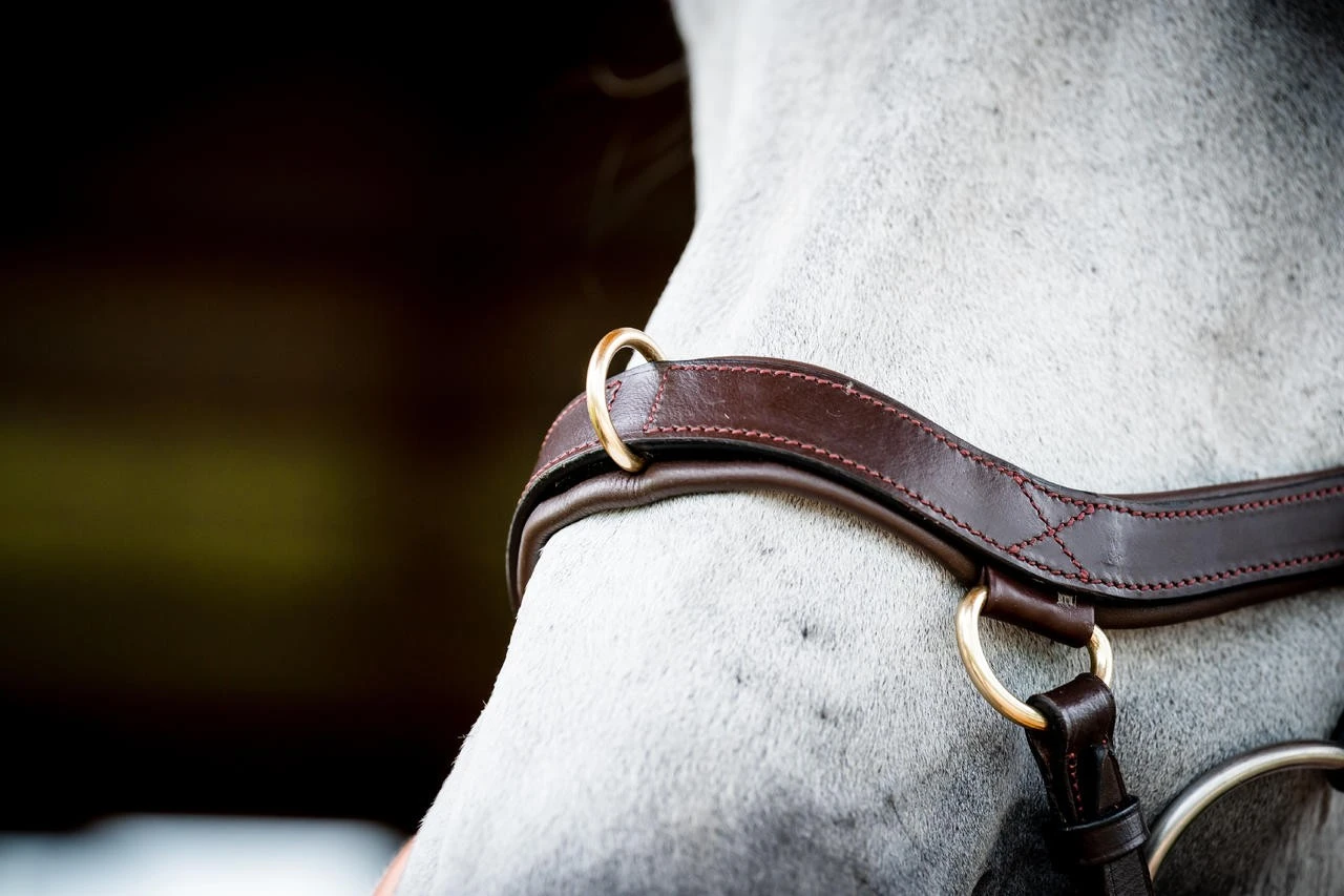 Horseware Micklem 2 Multi Bridle – Bild 14