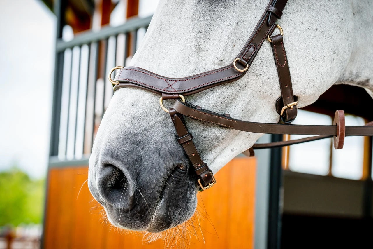 Horseware Micklem 2 Multi Bridle – Bild 11