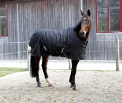 Covalliero Winterdecke RugBe Ice Protect 200