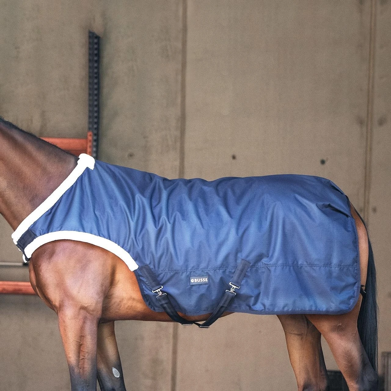 Busse Führanlagendecke TRAINER 50