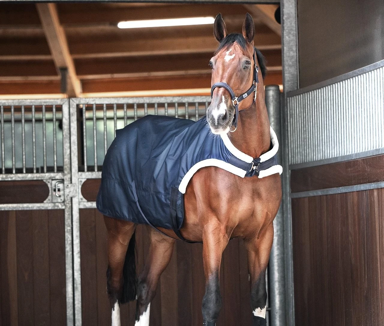 Busse Führanlagendecke TRAINER 50 – Bild 2