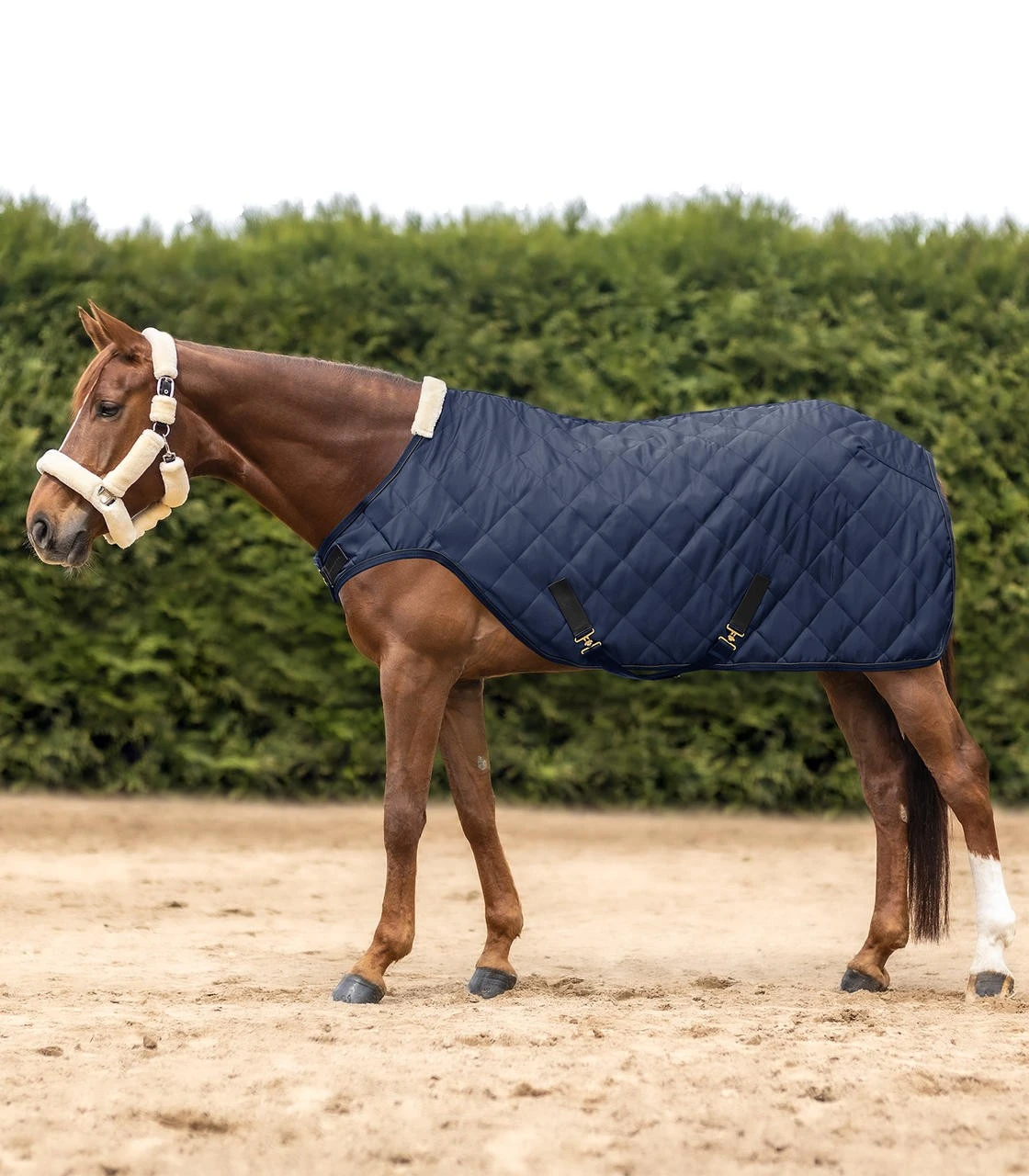 Waldhausen Führmaschinendecke Exclusive 50g