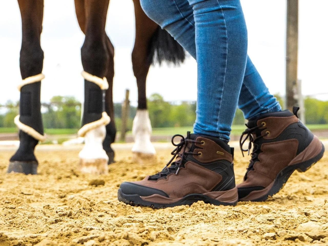 Busse Reit- Und Stallschuh Dallas – Bild 3